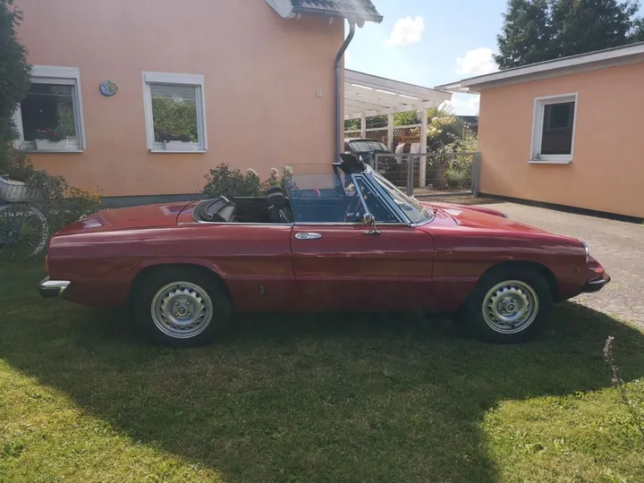 Alfa Romeo Spider