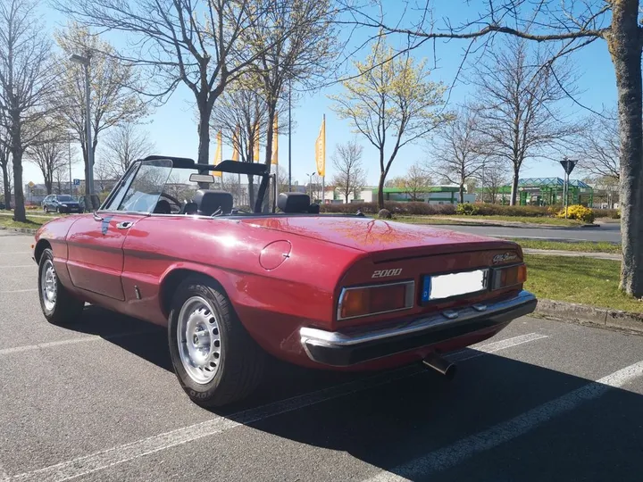 Alfa Romeo Spider