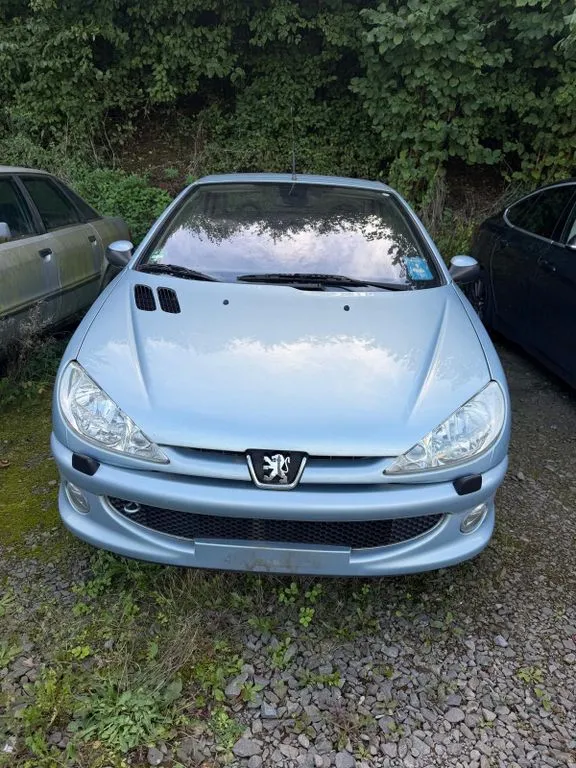 Peugeot 206