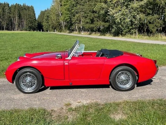 Austin Healey Other
