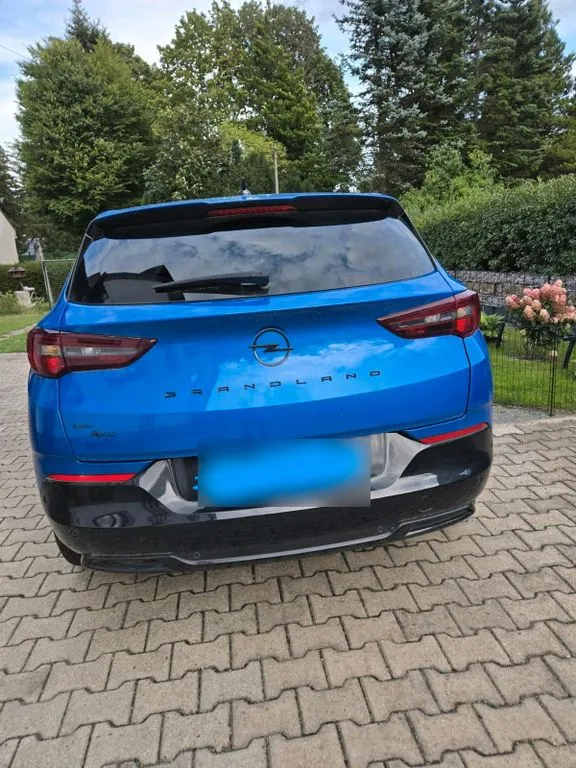 Opel Other