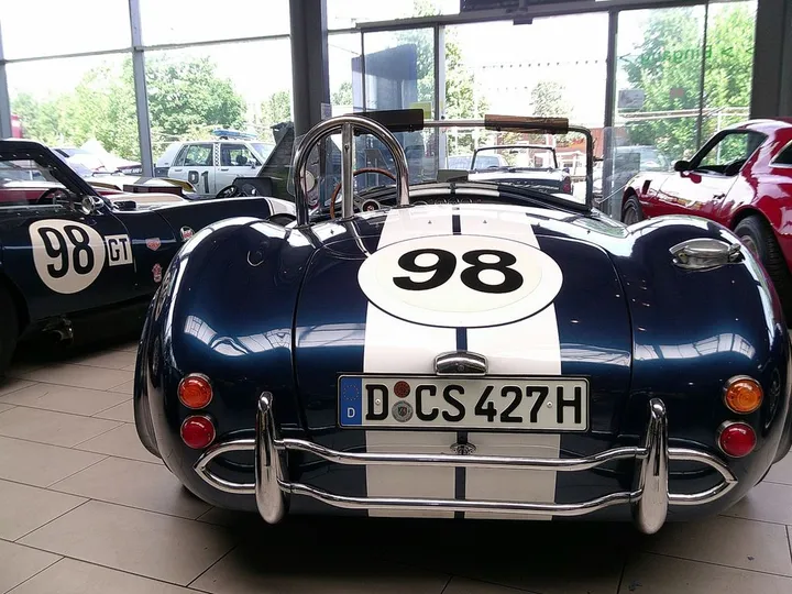 Cobra Other