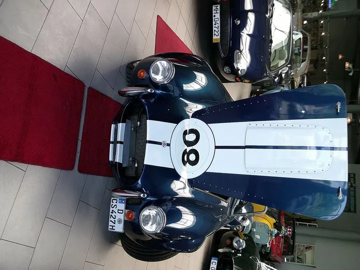 Cobra Other