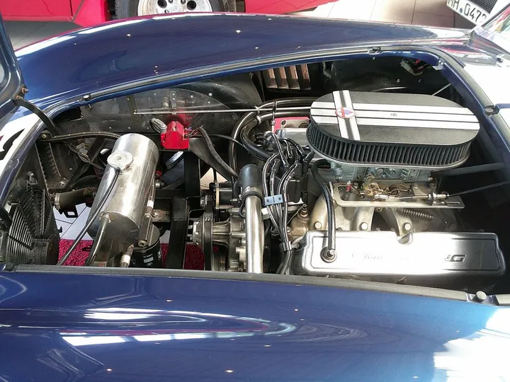Cobra Other