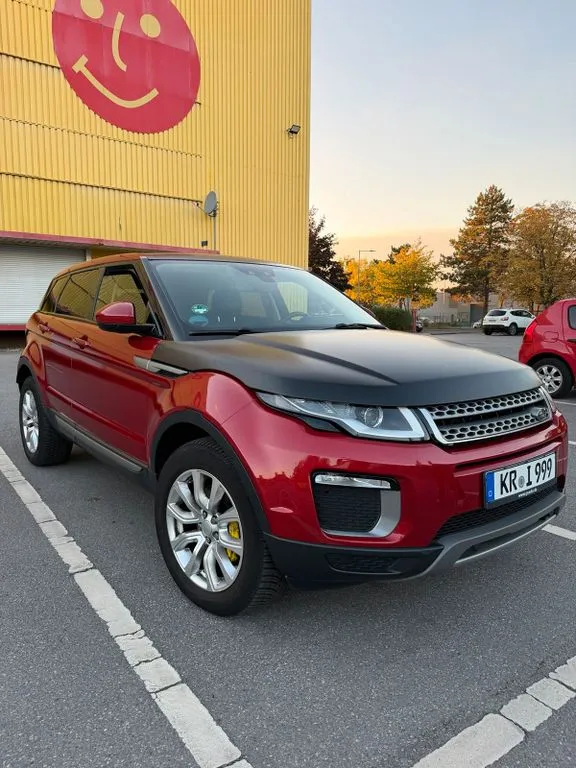 Rover Other