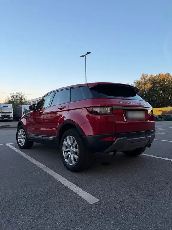 Rover Other