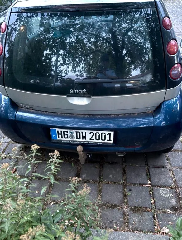 Smart ForFour