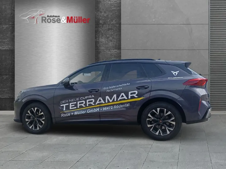 Cupra Terramar
