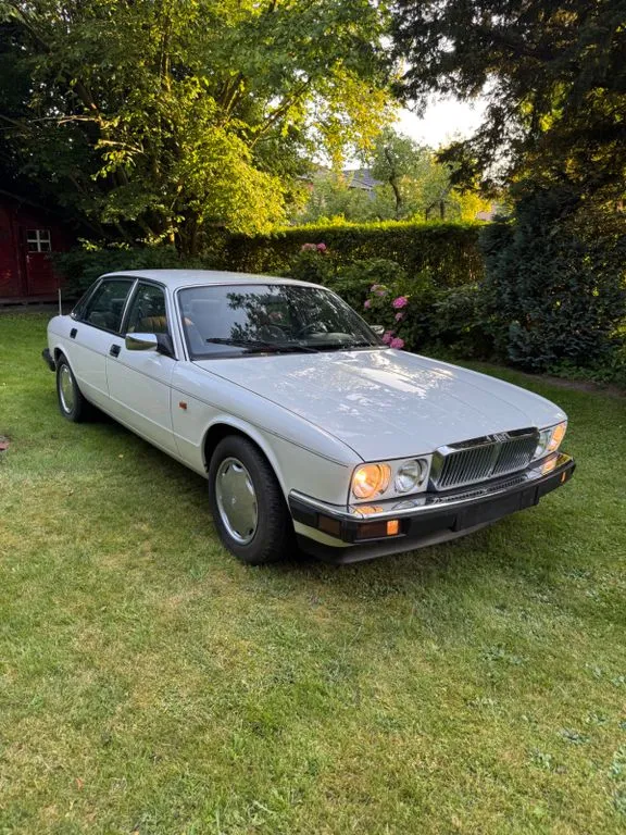 Jaguar XJ40
