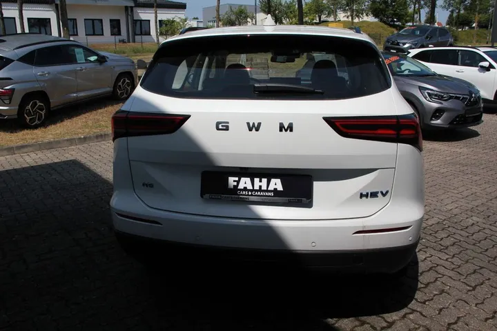 GWM Other