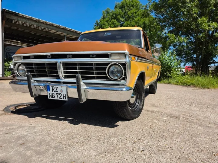 Ford F 100
