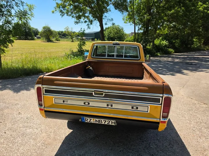 Ford F 100