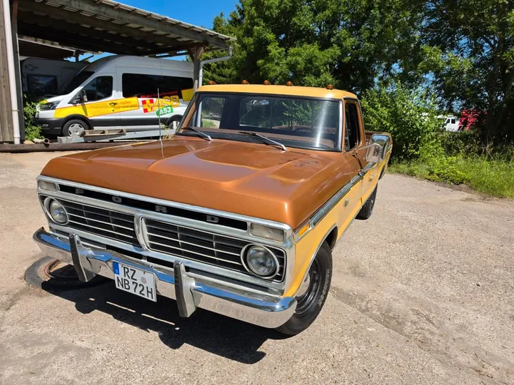 Ford F 100