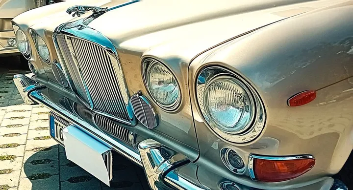 Jaguar Other