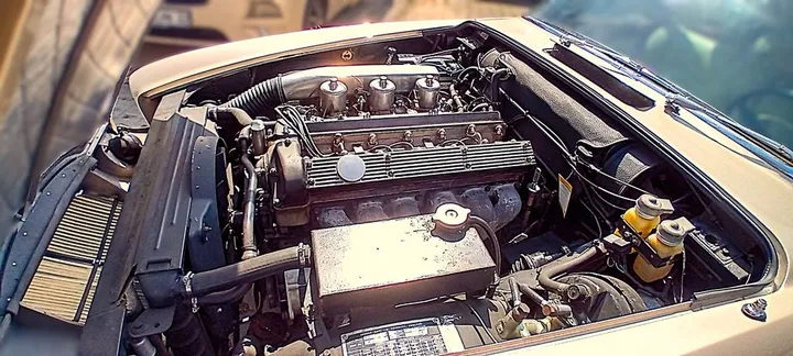 Jaguar Other