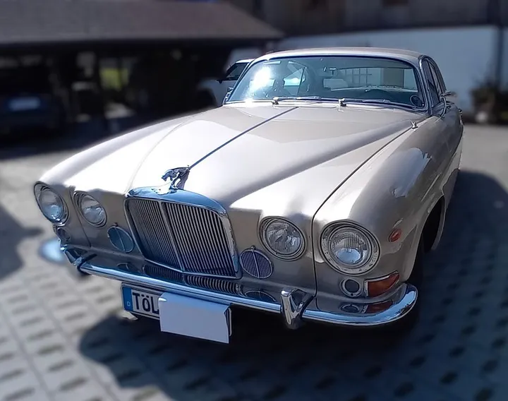 Jaguar Other