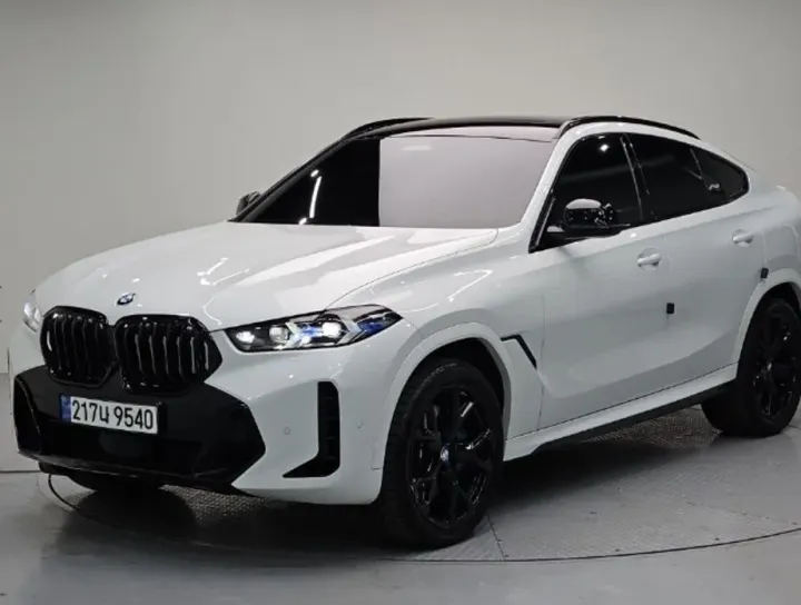 BMW X6