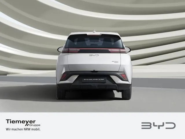 BYD DOLPHIN SURF
