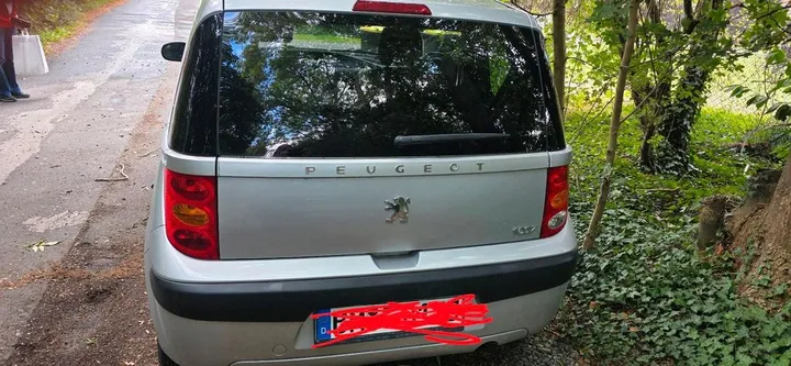 Peugeot 1007