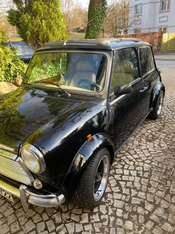 MINI 1300