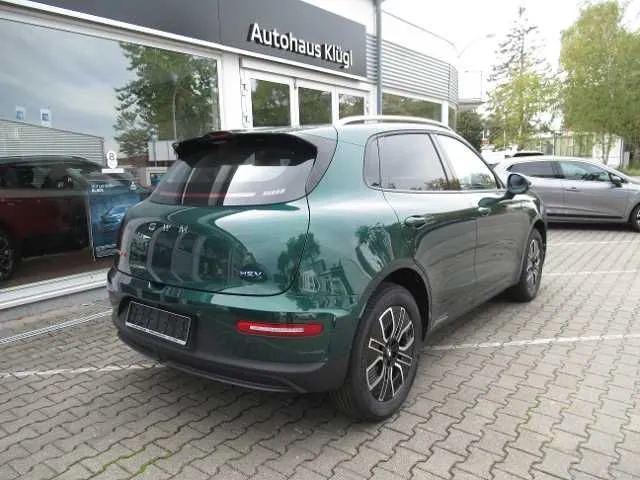GWM Other
