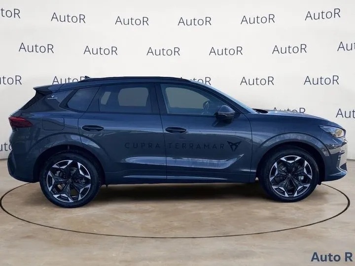Cupra Other