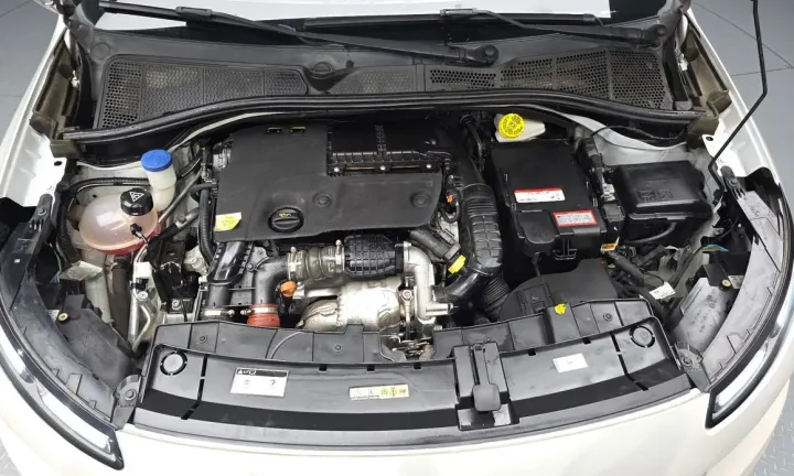 Citroen-DS C4 CACTUS