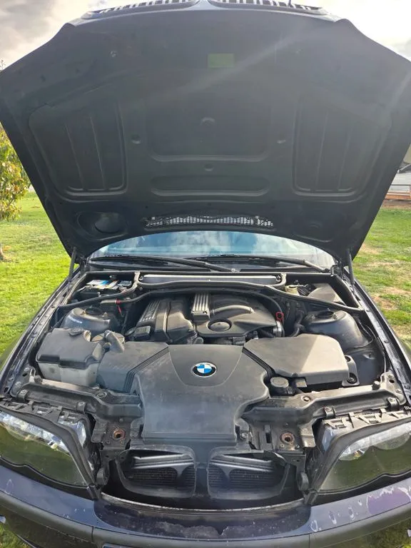 BMW 316