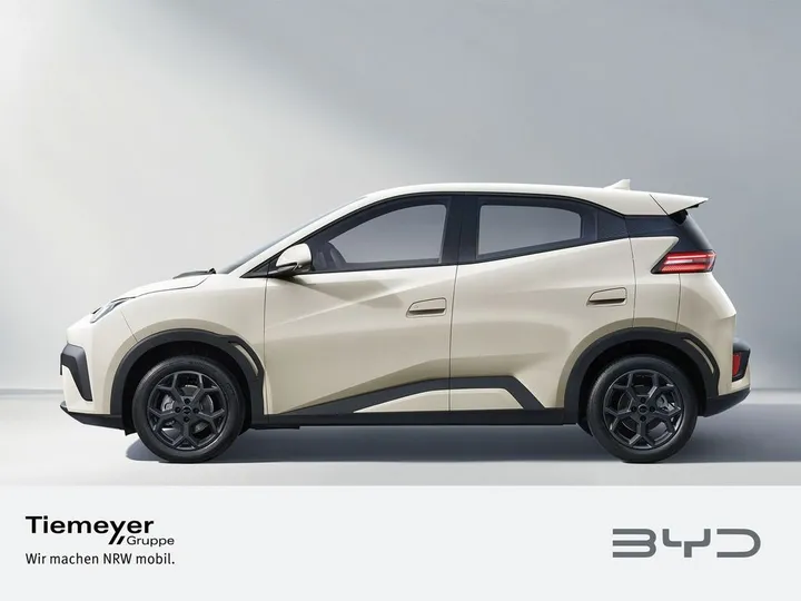 BYD DOLPHIN SURF
