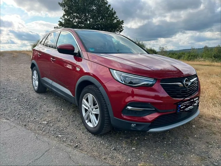 Opel Other
