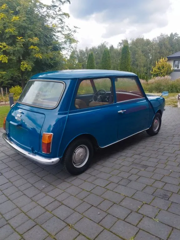 MINI 1000