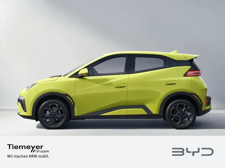 BYD DOLPHIN SURF