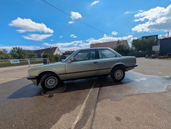 BMW 318