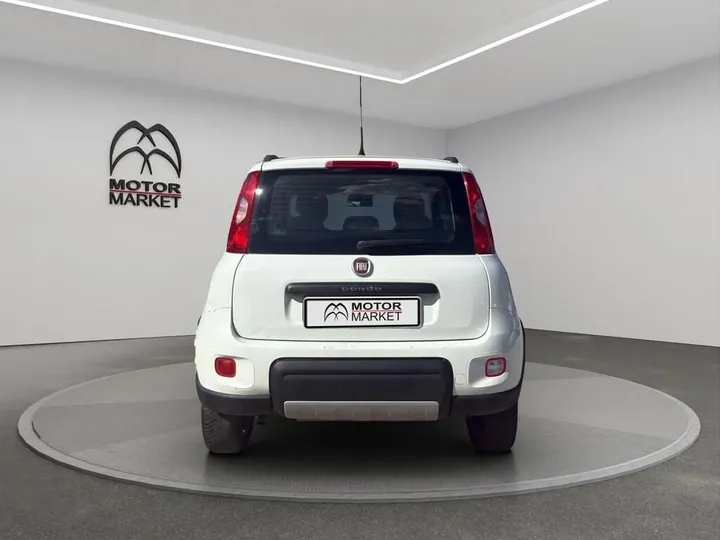 Fiat Other
