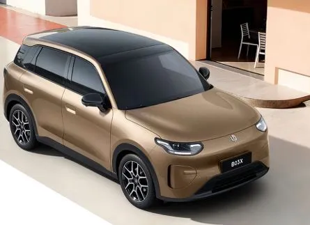 Leapmotor Other