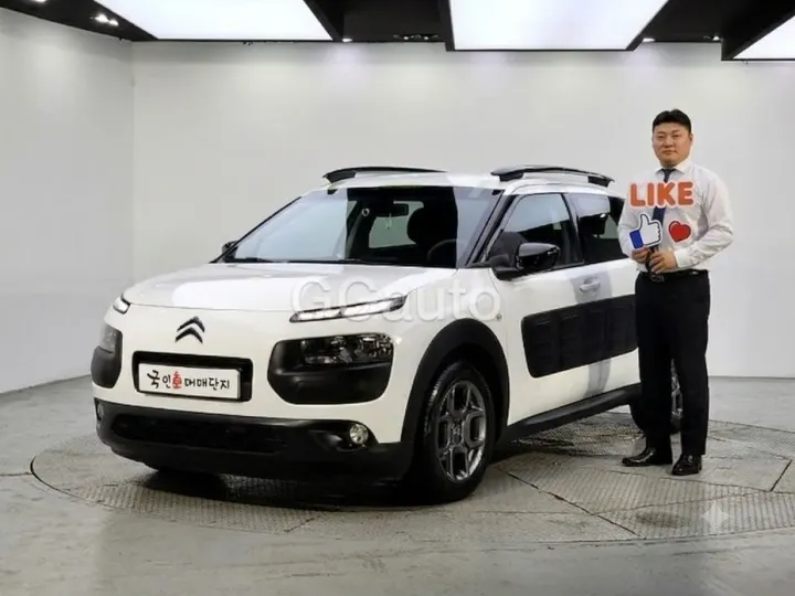 Citroen-DS C4 CACTUS