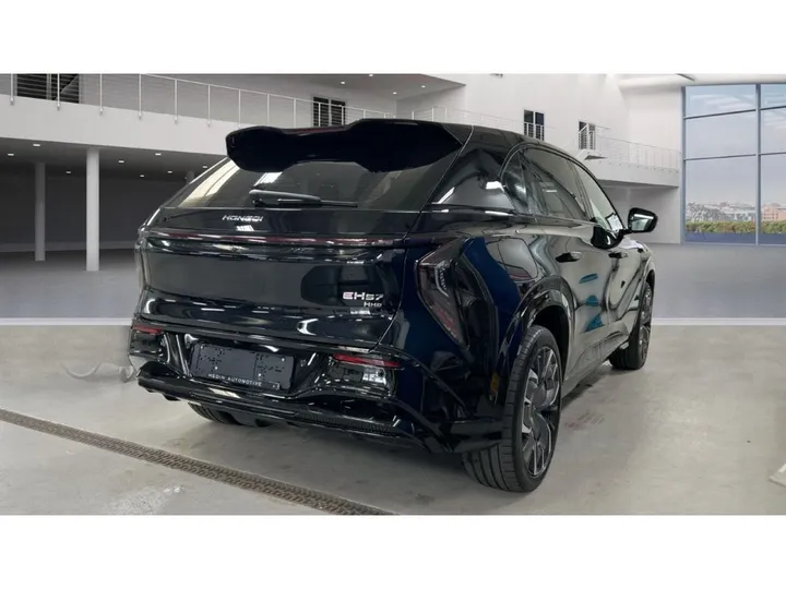 Hongqi Other