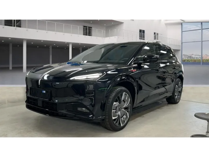 Hongqi Other