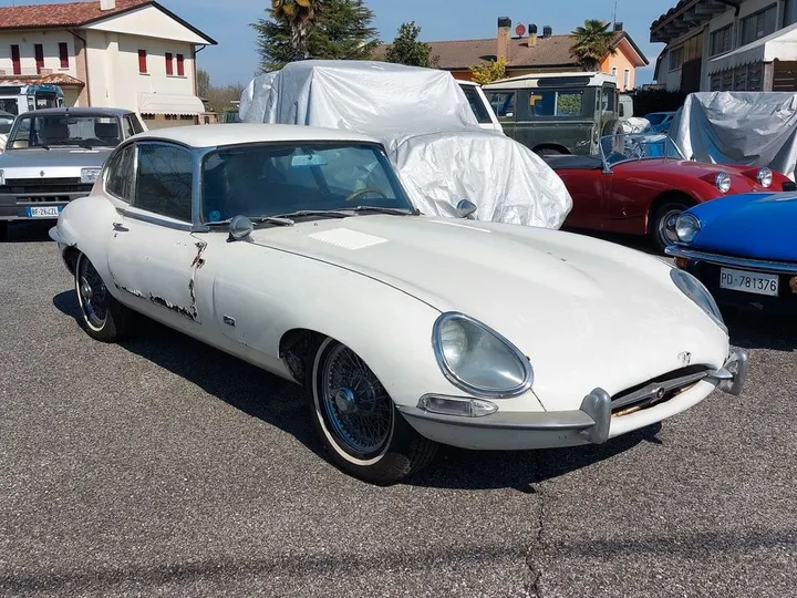 Jaguar Other
