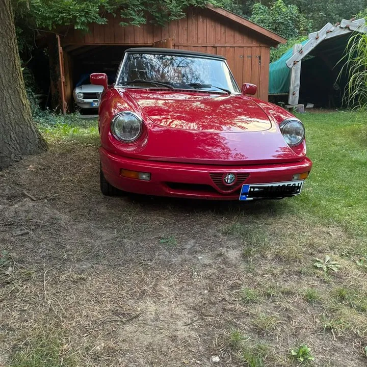 Alfa Romeo Spider