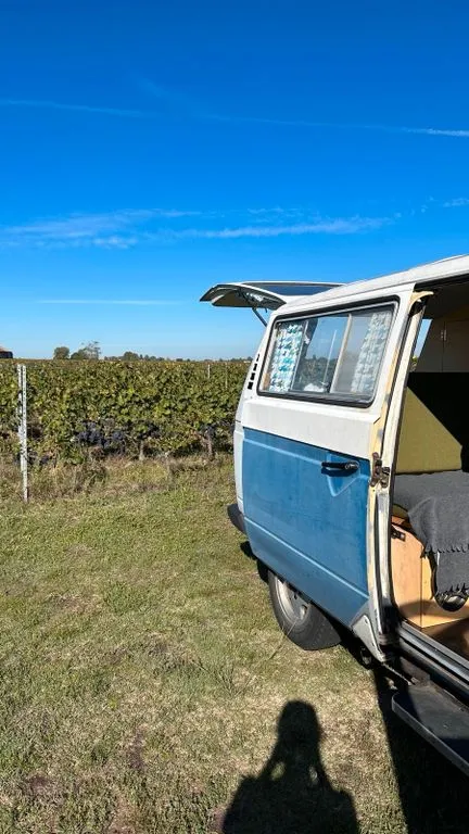 Volkswagen Other