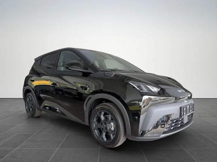 BYD DOLPHIN SURF