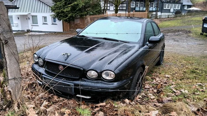 Jaguar Other