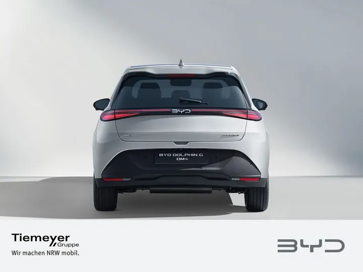 BYD DOLPHIN
