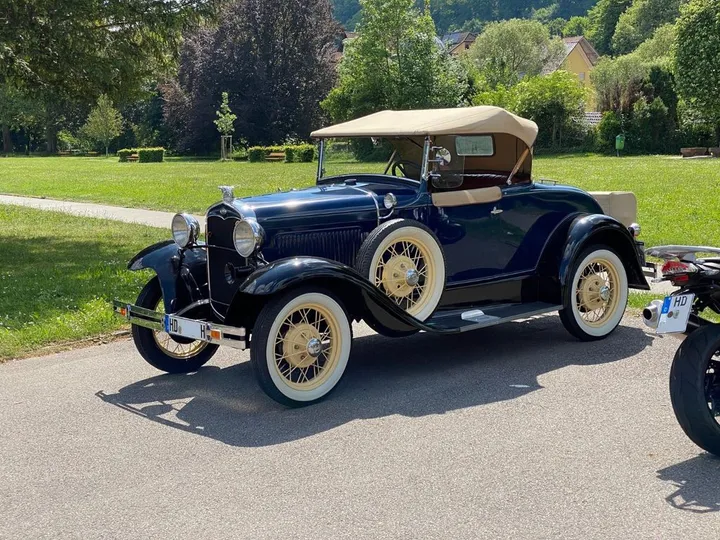 Ford Other