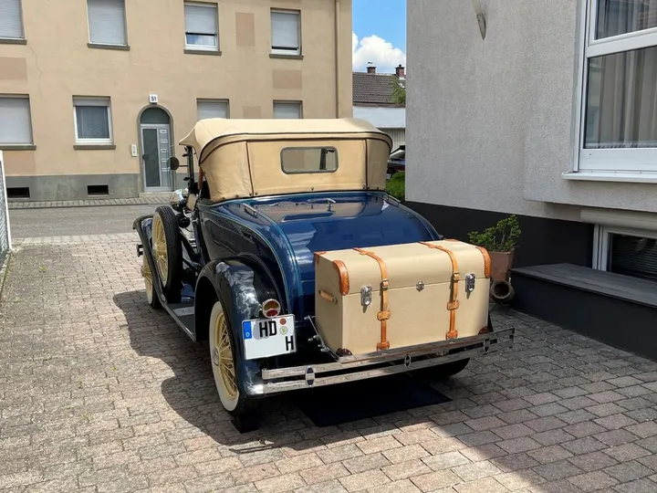 Ford Other