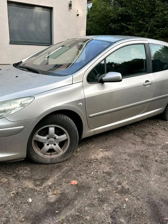 Peugeot 307