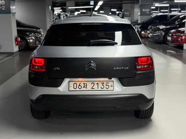 Citroen-DS C4 CACTUS