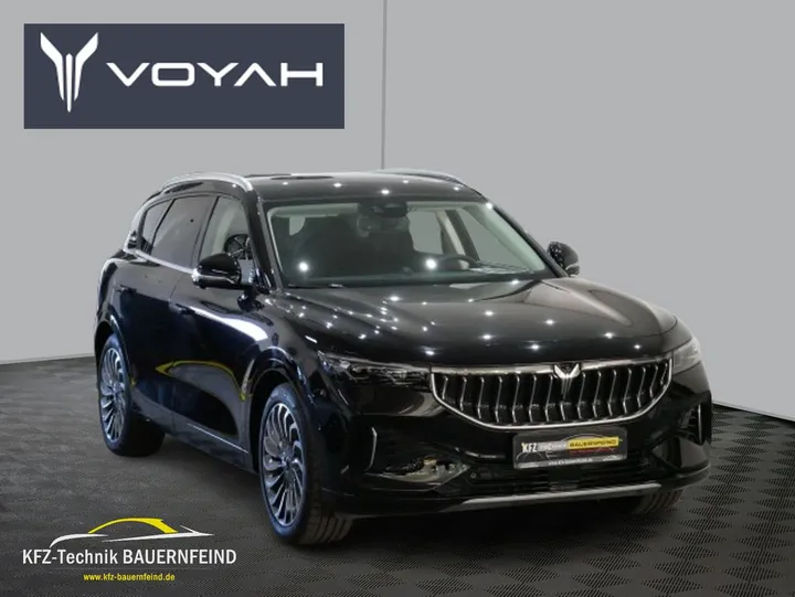 Voyah Other