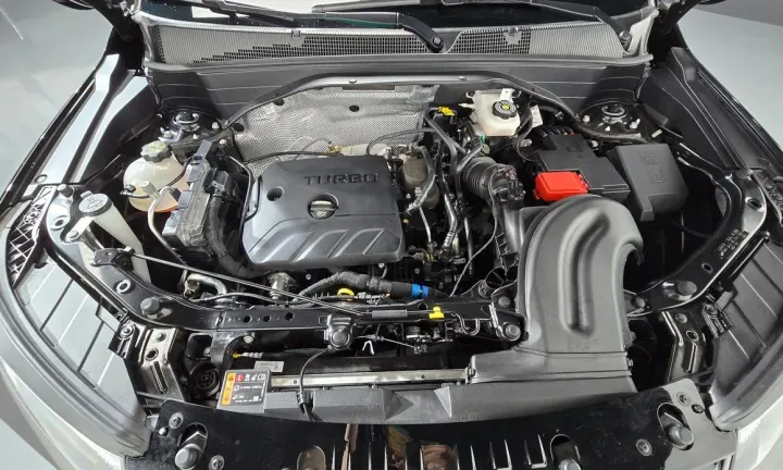 ChevroletGMDaewoo Trailblazer
